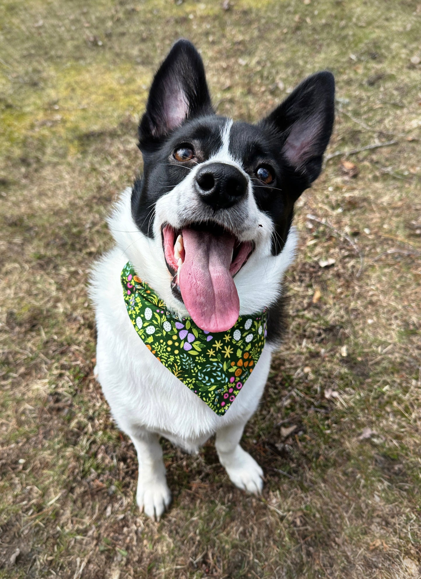 Spring Florals Pet Bandanas