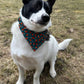 Mushroom (Teal) Pet Bandanas