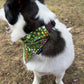 Spring Florals Pet Bandanas