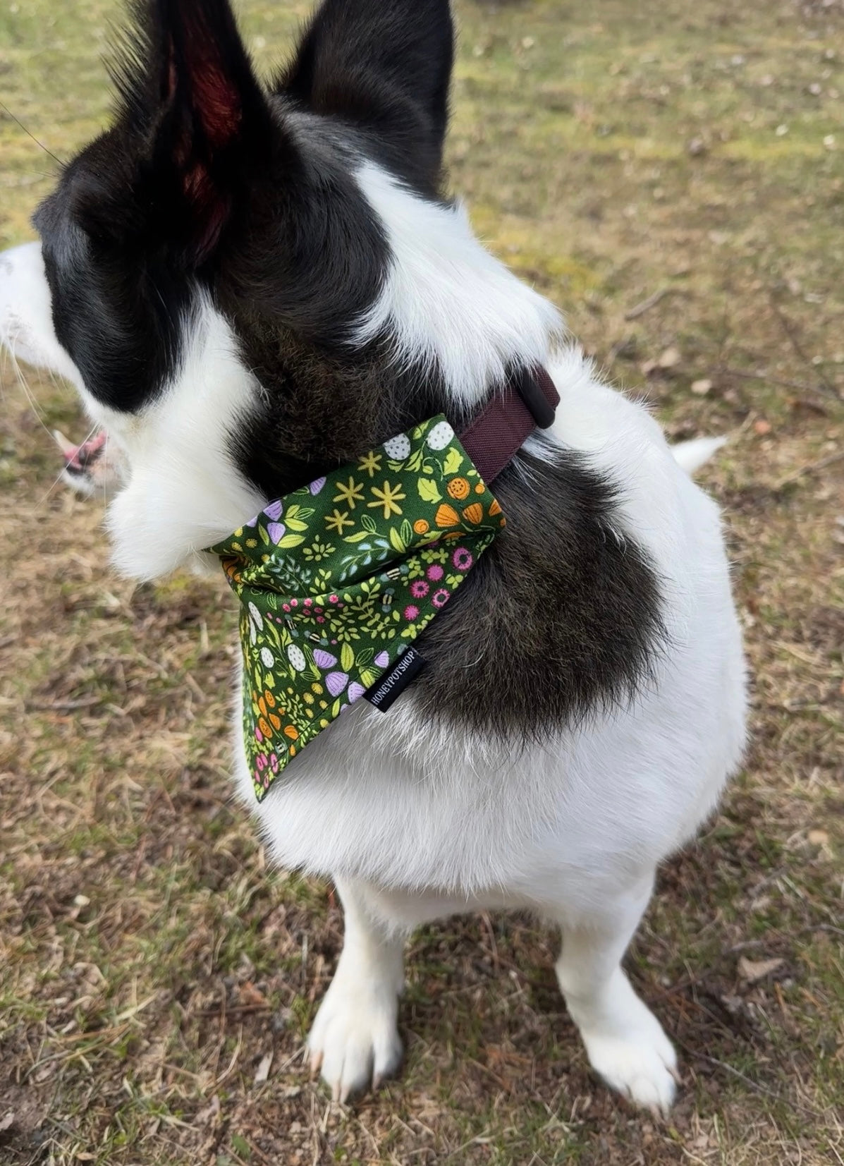 Spring Florals Pet Bandanas