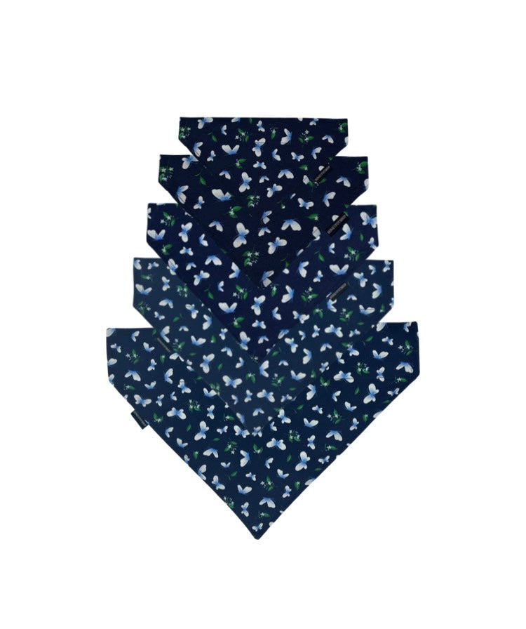 Navy Butterflies Pet Bandanas