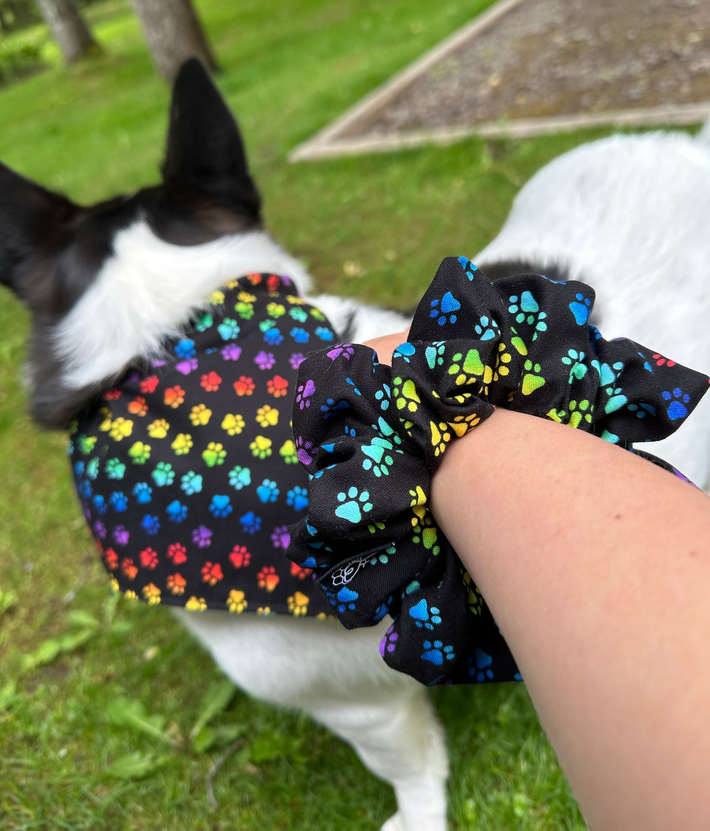 PAWS Pet Bandanas