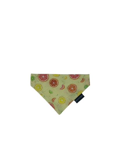 Citrus Pet Bandanas