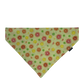 Citrus Pet Bandanas