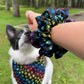 PAWS Pet Bandanas