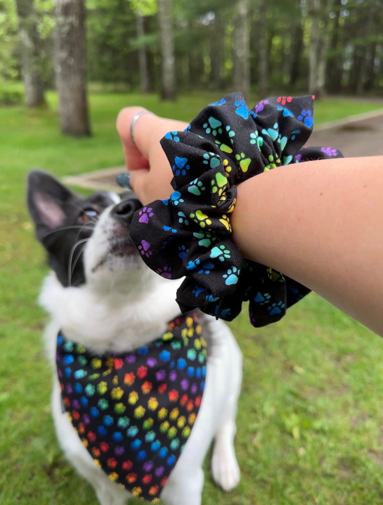 PAWS Pet Bandanas